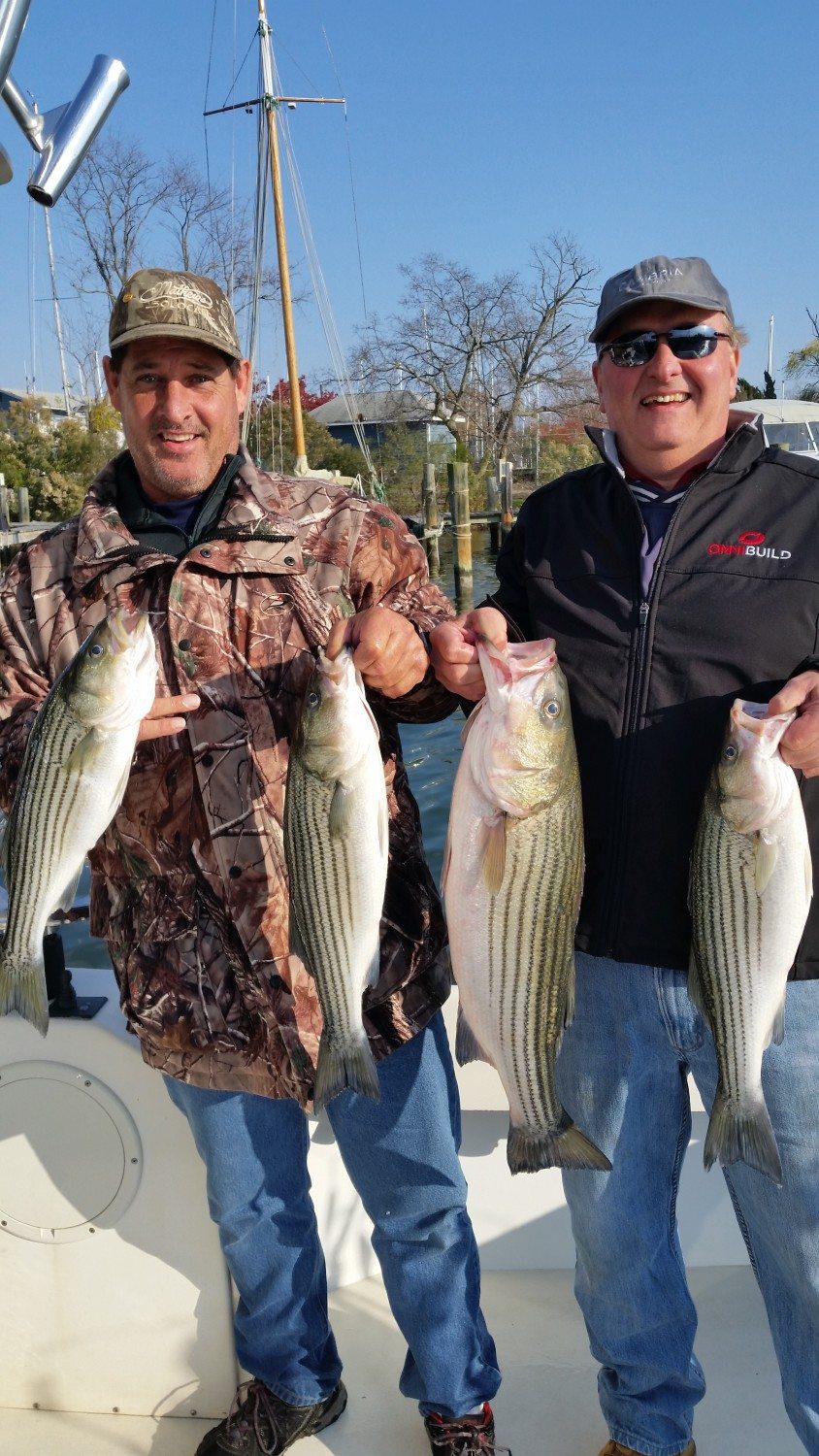 Chesapeake Bay Fishing Charter 22 Days left in the Maryland Striped
