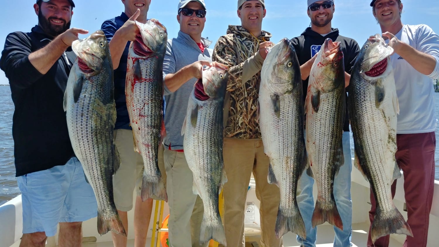  Chesapeake Bay Fishing Reports